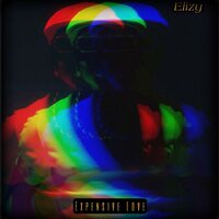 Expensive Love - Elizy