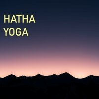 Take a Break - Hatha Yoga Maestro
