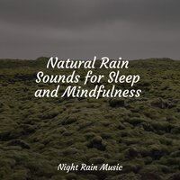 Waves, Shore, Rugged Water - Rain Sounds XLE Library & Yoga Para Ninos & Rain Forest FX