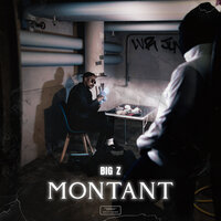 Montant - BIG Z