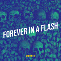 Forever in a Flash - Noidont G
