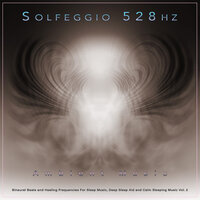 Calm Healing Music - Solfeggio & Solfeggio Frequencies 528Hz & The Solfeggio Peace Orchestra
