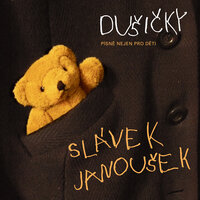 Cestovní pas - Slávek Janoušek