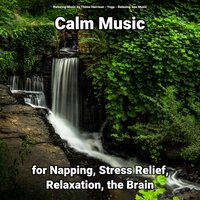Calm Music for Napping and Stress Relief Part 26 - Relaxing Music by Thimo Harrison & Yoga & Relaxing Spa Music