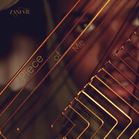 Sometime Lover - Zani Vie