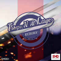 Reborn - Tshepo N At Large