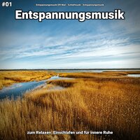 Entspannungsmusik pt. 85 - Entspannungsmusik Elfi Niel & Schlafmusik & Entspannungsmusik