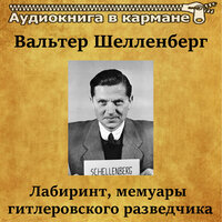 Крушение моих надежд - Аудиокнига в кармане & Станислав Сытник