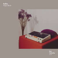 Night Birds - Safita & Bar Melodia