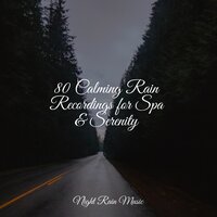 Rain on Foliage - Sleep Songs 101 & Sounds Of Nature : Thunderstorm & The Sleep Principle