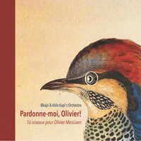 Gavia Stellata - Økapi & Aldo Kapi's Orchestra