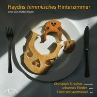 Haydn Barytontrio No. 115 in D Major 2. Menuet-Trio-Menuet - Christoph Stradner & Johannes Flieder & Ernst Weissensteiner & Йозеф Гайдн