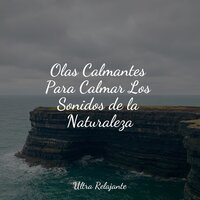 Romance Eterno - Massagem Música & Sons da natureza HD & Naturaleza