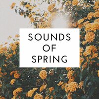 Sounds of Spring - Uncle Feaster