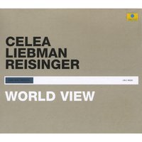 Acid Birds - David Liebman & Wolfgang Reisinger & Jean-Paul Celea