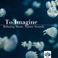 Into Deep to Sleep (Spa Music With Nature Sounds) - The Einstein Classical Music Collection for Baby