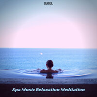 Defining Mindfulness - Derrol & Spa Music & Sleep Music & Relaxing Music Therapy