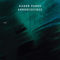 In Pursuit - Aaron Parks