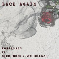 Back Again - RoninBass & Sunda Woles & Awe Holidays