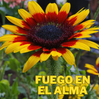 Fuego en el Alma - Grupo Fantasía & Son Andino