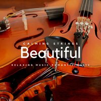 Morass - Violin Music & Violins & Calming Strings