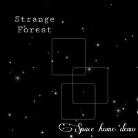 Homeless - Strange forest