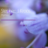 Inspirience - Stephen J. Kroos