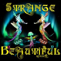 Strange Beautiful - Mojo Filter & Little Thoughts