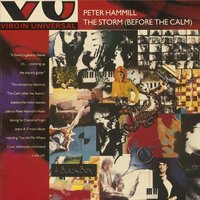 My Experience - Peter Hammill