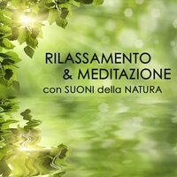 Meditation Music (Chitarra) - Relax, Rilassamento, Wellness e Musica
