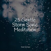 Beach, Waves, Lapping, Medium - Sleeping Baby Songs & Sonido Del Bosque y Naturaleza & Relaxation Sleep Meditation