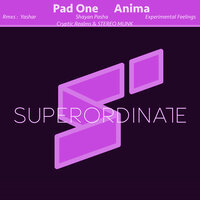 Anima - Pad One & Shayan Pasha