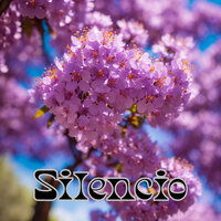 Silencio - Grupo Fantasía