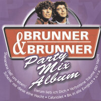 Party Mix 1 - Brunner