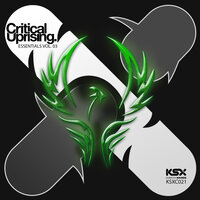 Aeryals - Steve Dekay & H.M.B.L. & RAM