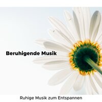 Konzentrationsmusik - Zen Nadir