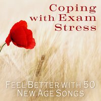 Music for Dreaming - Stress Relieving Music Consort
