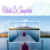 Camino a la Serenidad - Relajacion Para Curar El Alma