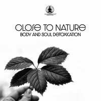 Coolness - Relaxation Meditation Songs Divine