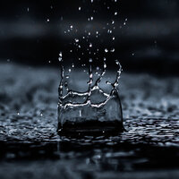 Rolling Forest Rains - Nature Chillout & Ambient Music Therapy & Trouble Sleeping Music Universe