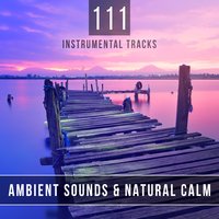 This Sound is so Soothing for the Mind - Source of Serenity