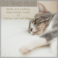 Healing Cat Music - RelaxMyCat & Cat Music Dreams & Kitten Music Therapy