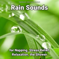 Asmr for Sleeping - Nature Sounds & Rain Sounds & Regengeräusche
