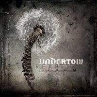 Thieves & Liars - Undertow
