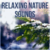 Sacred Journey - Nature Sounds Paradise