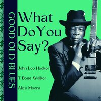 Every Day - Big Joe Williams