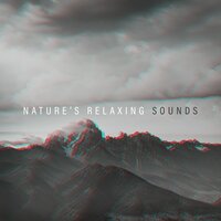 Spa Relaxation - Relaxing Sounds of Nature
