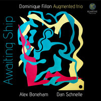 Tears for trees - Dominique Fillon & Alex Boneham & Dan Schnelle