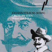 You Only Live Once! Waltz, Op. 167 - Wiener Kammerorchester & Paul Angerer & Иоганн Штраус-сын