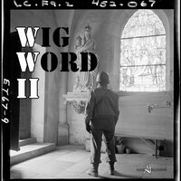 Declaration - Wig